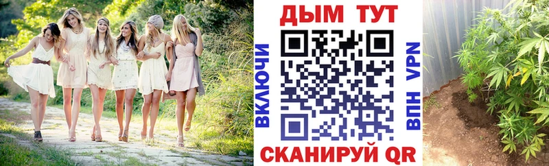 что такое   Тула  МАРИХУАНА марихуана 